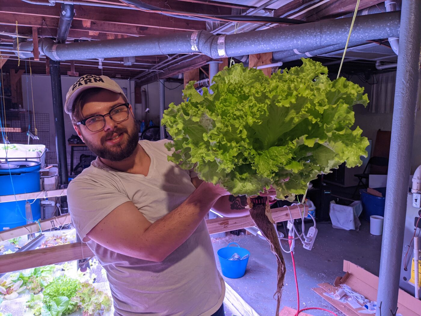 Image of man holding a giant head of lettuce