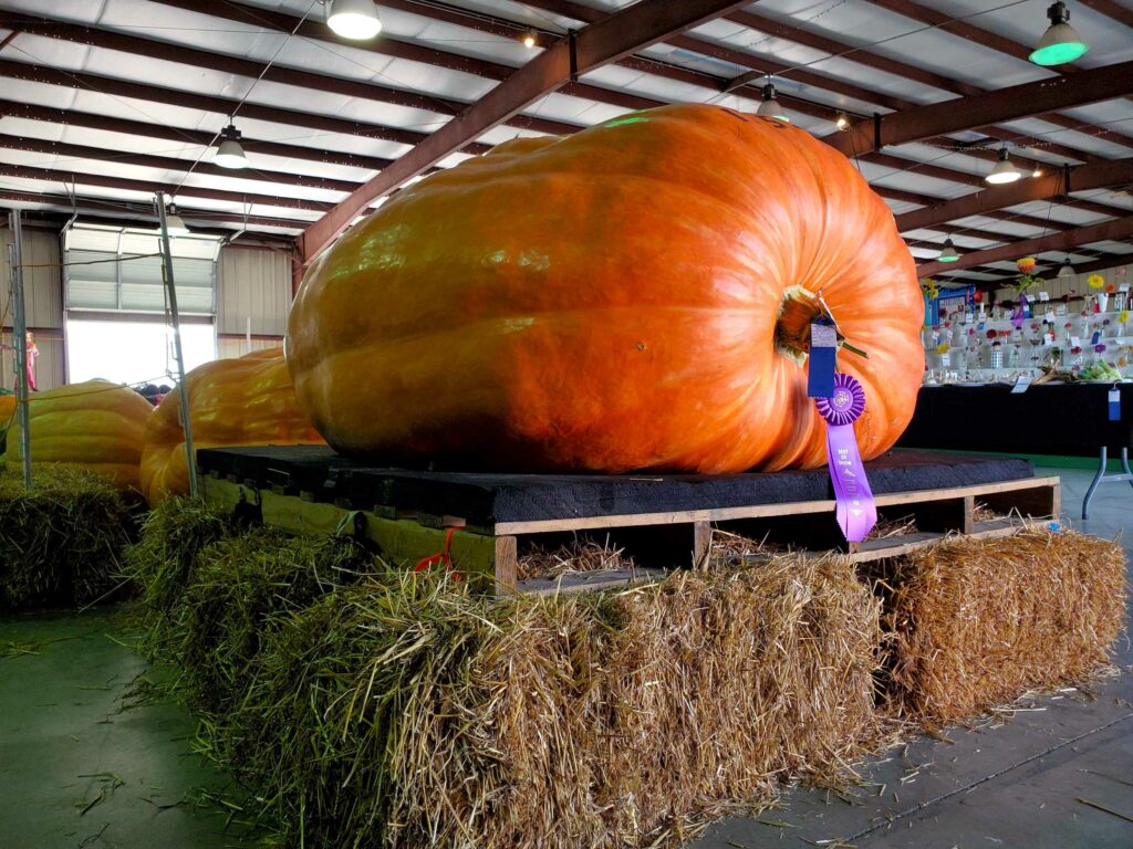 Photos Scenes from the 2022 Portage County Randolph Fair The